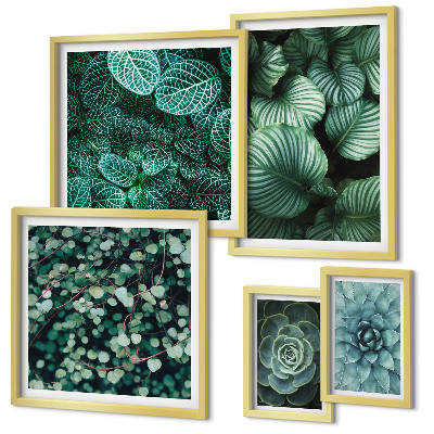 Gallery wall Plant leaves succulents nature