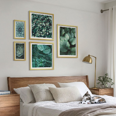 Gallery wall Plant leaves succulents nature