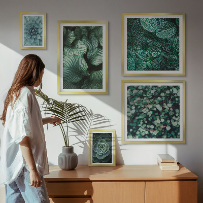 Gallery wall Plant leaves succulents nature