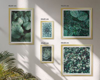 Gallery wall Plant leaves succulents nature