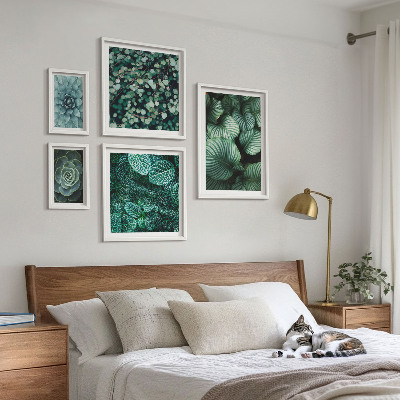 Gallery wall Plant leaves succulents nature