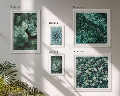 Gallery wall Plant leaves succulents nature