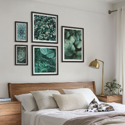 Gallery wall Plant leaves succulents nature