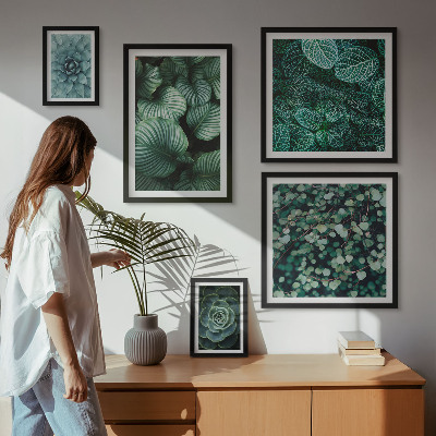 Gallery wall Plant leaves succulents nature
