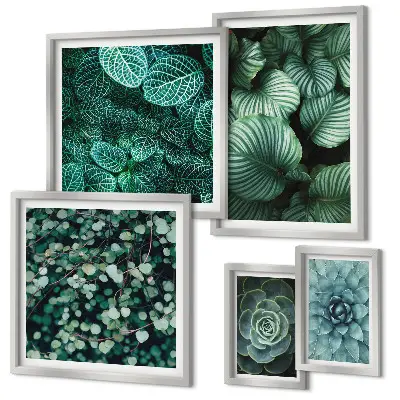 Gallery wall art plant leaves and succulents nature theme