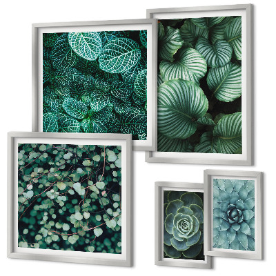 Gallery wall Plant leaves succulents nature