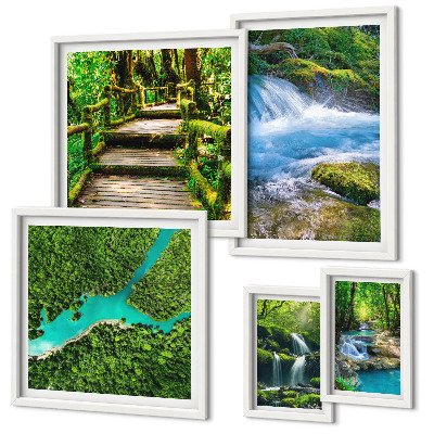 Gallery wall Green oases of peace in the forest