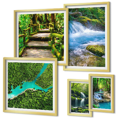 Gallery wall Green oases of peace in the forest