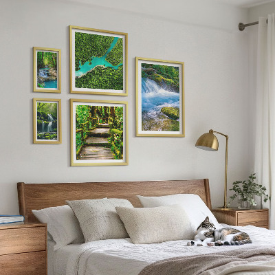 Gallery wall Green oases of peace in the forest