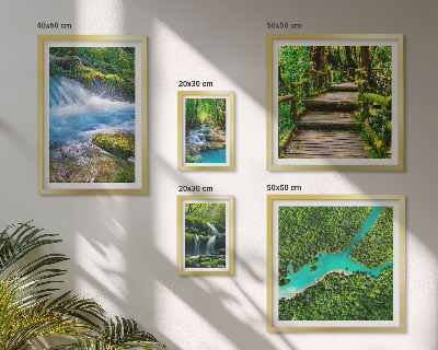 Gallery wall Green oases of peace in the forest