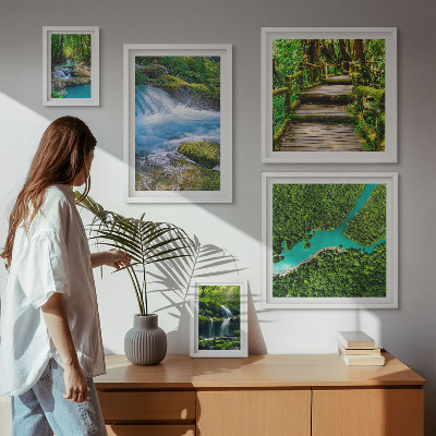 Gallery wall Green oases of peace in the forest