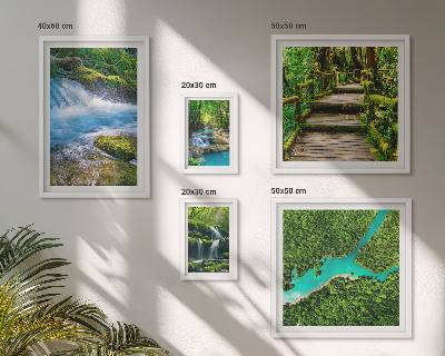 Gallery wall Green oases of peace in the forest
