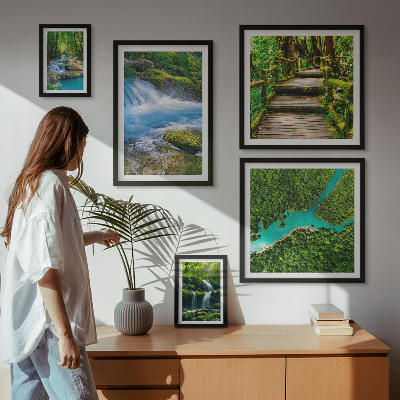 Gallery wall Green oases of peace in the forest