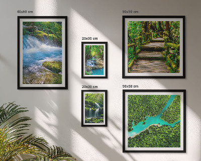 Gallery wall Green oases of peace in the forest