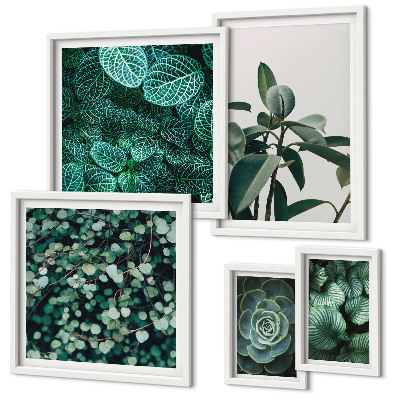 Framed photo set Plant motifs green leaves