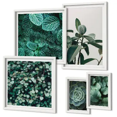 Framed photo set with green plant motif prints