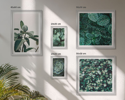 Framed photo set Plant motifs green leaves