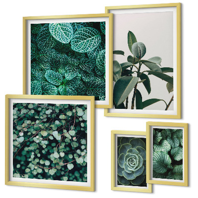 Framed photo set Plant motifs green leaves