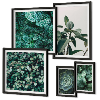 Framed photo set Plant motifs green leaves
