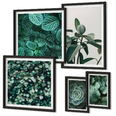 Framed photo set with green plant motif prints