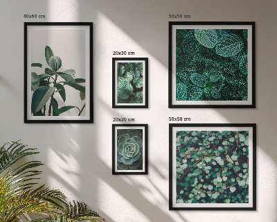 Framed photo set Plant motifs green leaves