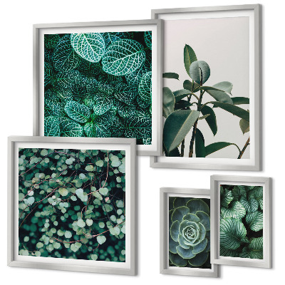 Framed photo set Plant motifs green leaves