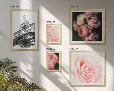 Framed photo set Roses Eiffel Tower Romanticism
