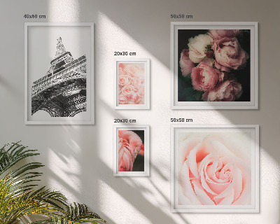 Framed photo set Roses Eiffel Tower Romanticism
