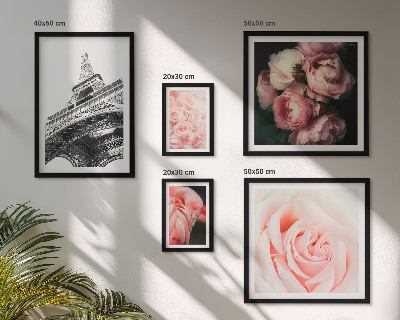 Framed photo set Roses Eiffel Tower Romanticism