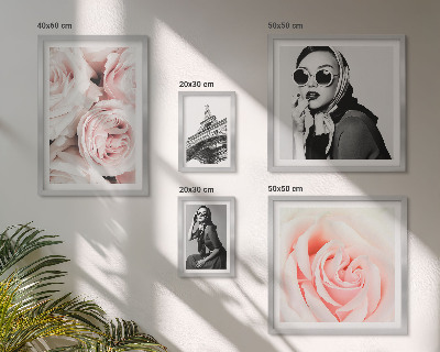 Framed photo set Stylish portraits of roses elegantly