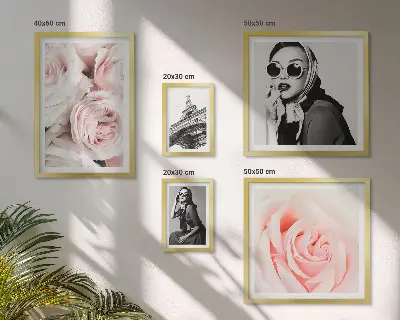 Framed rose portrait photo set stylish elegant floral wall art