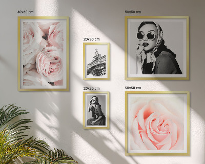Framed photo set Stylish portraits of roses elegantly