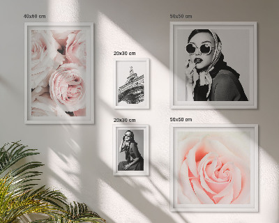Framed photo set Stylish portraits of roses elegantly