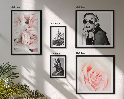 Framed photo set Stylish portraits of roses elegantly