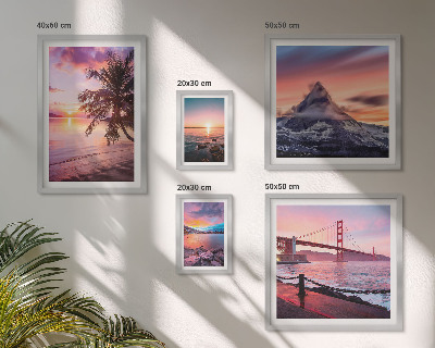 Gallery wall Seascapes with palm trees