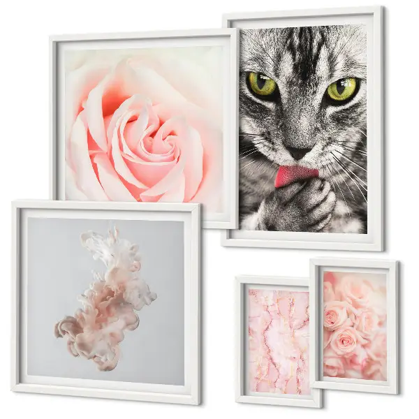 Gallery wall cats and roses in delicate shades