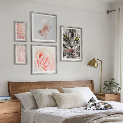 Gallery wall Cats roses delicate shades