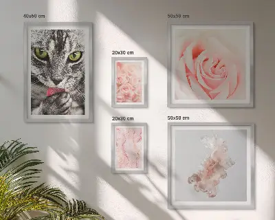 Gallery wall cats and roses in delicate shades