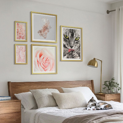 Gallery wall Cats roses delicate shades