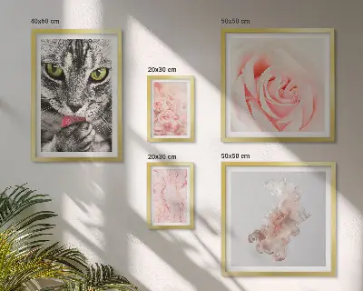 Gallery wall cats and roses in delicate shades