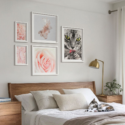 Gallery wall Cats roses delicate shades
