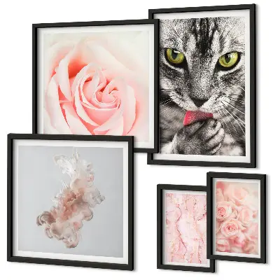 Gallery wall cats and roses in delicate shades