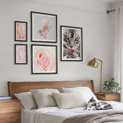 Gallery wall Cats roses delicate shades