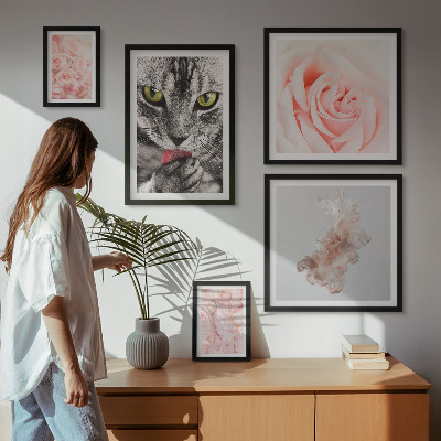 Gallery wall Cats roses delicate shades