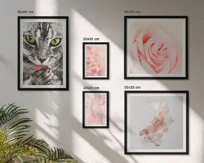 Gallery wall cats and roses in delicate shades