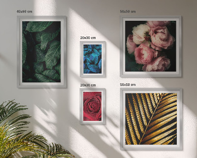 Set of 5 wall art pieces Plant floral motifs
