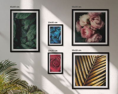 Set of 5 wall art pieces Plant floral motifs