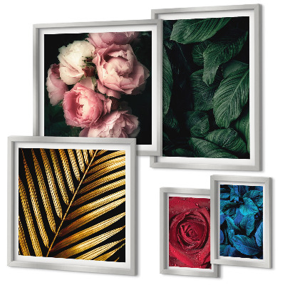 Set of 5 wall art pieces Plant floral motifs
