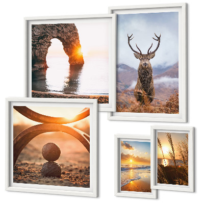 Framed photo set Nature wild animals harmoniously