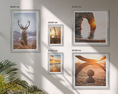 Framed photo set Nature wild animals harmoniously
